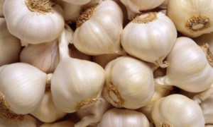 What are the Benefits and Uses of Garlic in Italian Cooking?