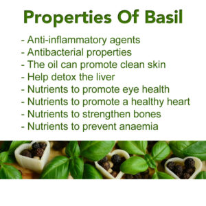 Properties of Basil 