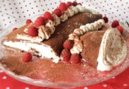 bf_1_christmas_log (2)